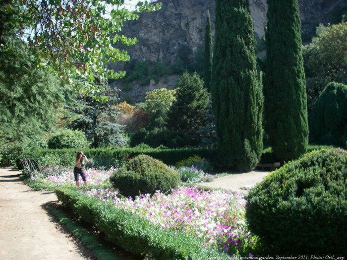 Отель Комплекс Wonderland Чакви Экстерьер фото